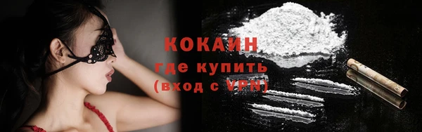 прущие крисы Рославль