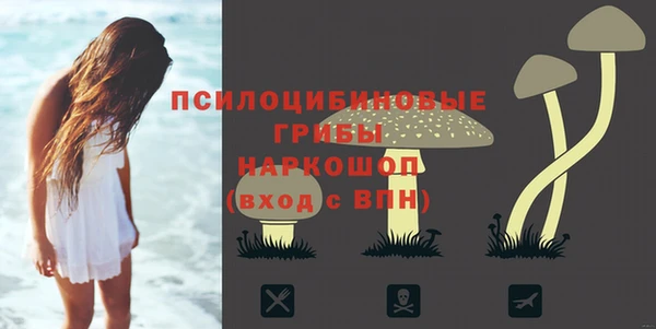 дмт Ростов