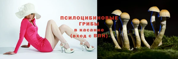 дмт Ростов