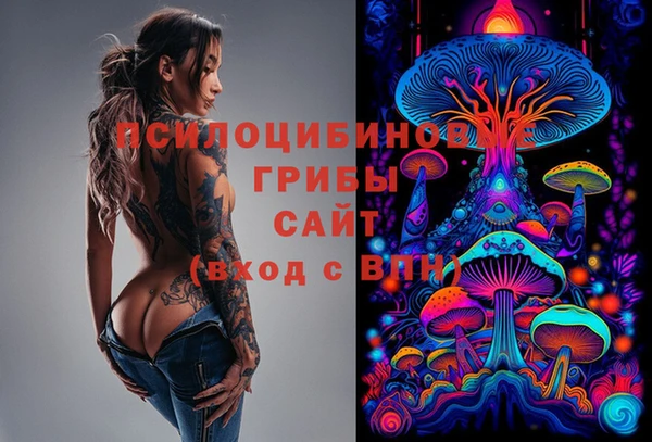 дмт Ростов