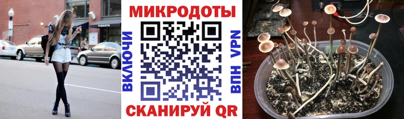 Купить  Электрогорск  Псилоцибиновые грибы мицелий 