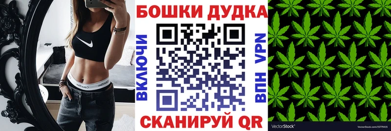 Конопля план Электрогорск